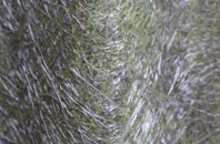 Glackmore fibreglass roof work